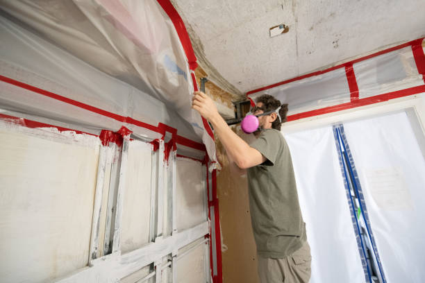 Best Mold Remediation for Vacation Homes  in Quitman, TX