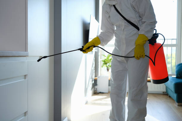 Mold Remediation for Vacation Homes in Quitman, TX