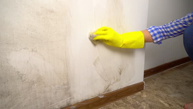 Best Post-Remediation Verification Testing  in Quitman, TX